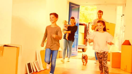 Moving with Pets: Tips and Tricks for a Stress-Free Experience